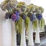 Canopy By Hilton 4* Cannes