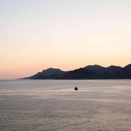 Hotel Canopy By Hilton Cannes