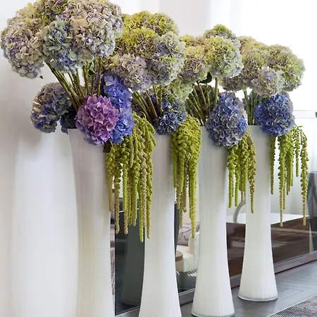 Canopy By Hilton 4* Cannes